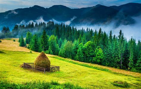 Bucovina Region Visit Romania Travelmakertours