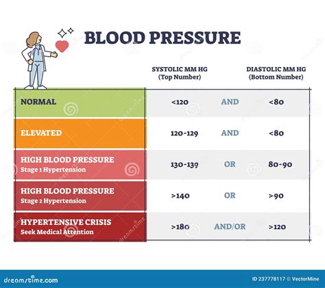 Blood Pressure With Systolic And Diastolic Number Chart Outline Diagram Stock Vector