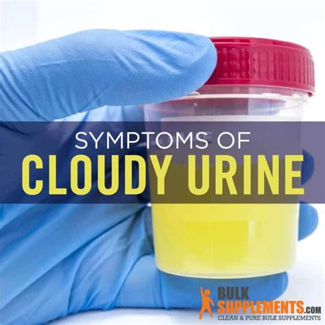 Cloudy Urine Symptoms Causes And Treatment