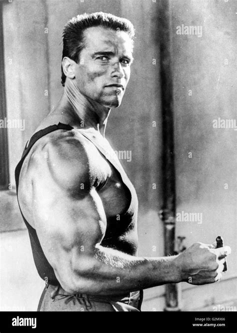 Arnold Schwarzenegger In Commando1985 Stock Photo Alamy