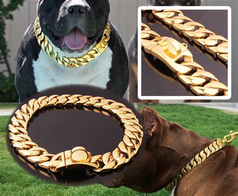 Gold Puppy Collar Pet Puppy Small Dog Adjustable Chain Collar Punk