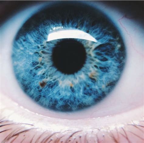 Bright Blue Eyes Blue Eyes Aesthetic Cool Eyes Eye Color