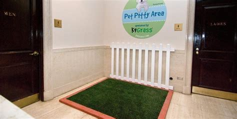 Airport Pet Relief Areas K9grass By Foreverlawn