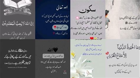 True Lines Islamic Dpzurdu Islamic Poetry Profile Photoswhatsapp