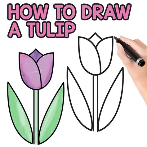 How To Draw A Flower For Kids Flowers To Draw Easy Tulips