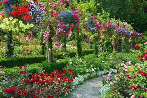 Pin By Julie Rorden On Rose Garden Buchart Gardens Beautiful Flowers