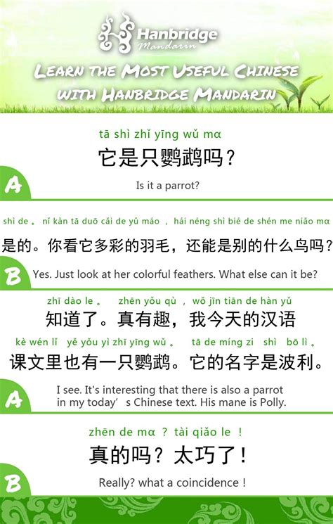 Learn Daily Chinese Phrase With Hanbridge Mandarin School Chinese
