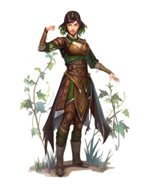 Druid Female Character Art Character Inspiration Dungeons And