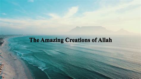Allah The Creator Of Entire Universe The Amazing Creations Of Allah