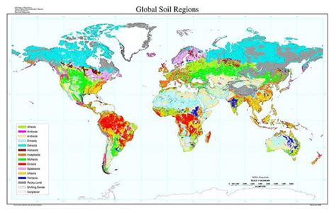 Global Distribution Map Of The 12 Soil Orders Used By Usda Soil