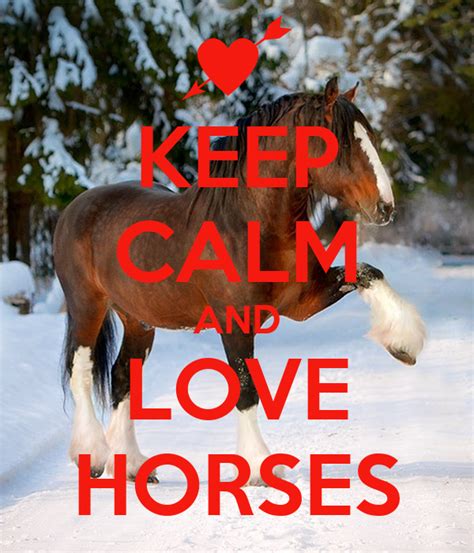 Keep Calm And Love Horses Poster Ccfc Keep Calm O Matic