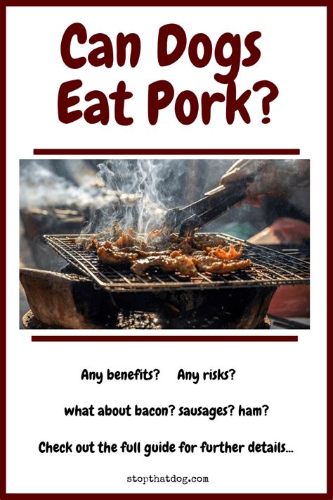 Christians generally ignore the old testament except when it is useful, like to condemn homosexuality. Can Dogs Eat Pork? Or Is Pork Bad For Dogs? | Can dogs eat ...