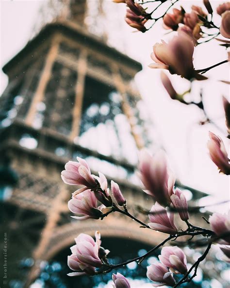 The Eiffel Tower Photography Guide — Brotherside • Visual Creatives