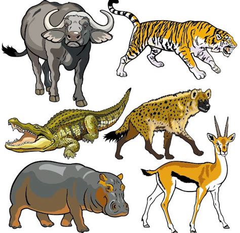 African Animals List Clip Art Library