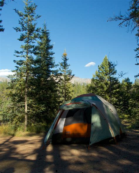 Camp Here Wapiti In Jasper National Park Alberta Canada — Adina