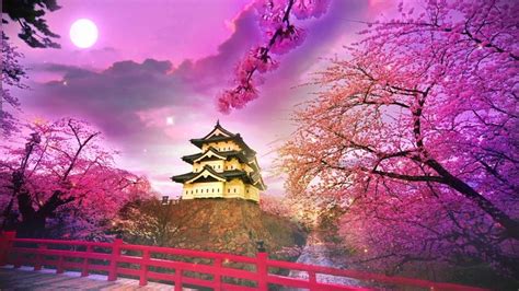 Purple Japanese Wallpapers Top Free Purple Japanese Backgrounds