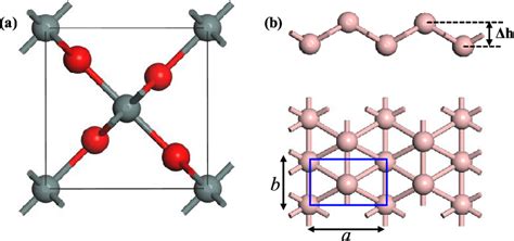 Crystal structures of a tetrahedral SnO 2 and b β 12 borophene