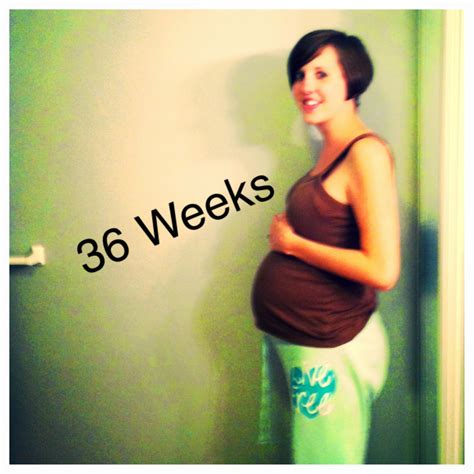 Learning To Be 31 Bump Update 36 Weeks
