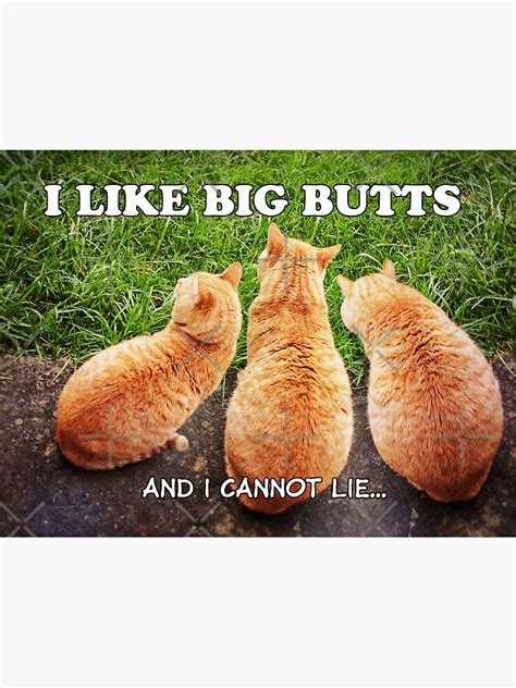 I Like Big Butts And I Cannot Lie Sticker By Trebolazul Redbubble