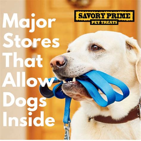 Find your nearest pet lovers centre store and get your favourite dog food, cat food and other pet supplies. Major Stores That Allow Dogs Inside (Pet-Friendly Policies ...