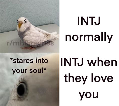 Normal INTJ vs INTJ in love : r/INTJmemes