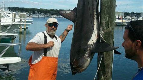 Possible Record Setting Shark Caught Off Montauk Nbc Connecticut