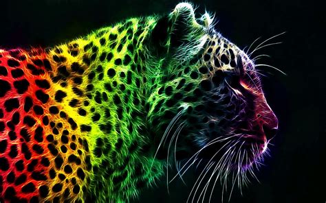 73 Cool Animal Backgrounds ·① Download Free High Resolution Wallpapers