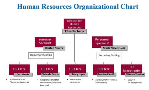 Hr Organizational Chart Human Resources Mission Consolidated