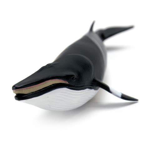 Minke Whale Sea Life Toy Figure Safari Ltd®