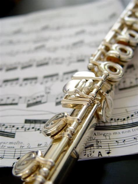 48465 Flute Stock Photos Free And Royalty Free Stock Photos From