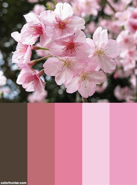 Sakura / ä¼ è± ã ®è¸ ã å­ (ã ¤ã ºã ã ªã ã ªã ³) Color Palette | Sakura ...