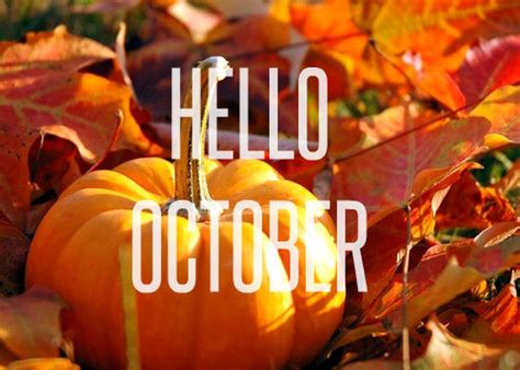 Hello October Quote With Pumpkins Pictures Photos And Images For