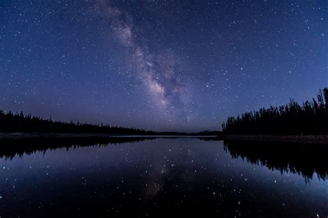 Water Reflection Starry Night Stars Forest Wallpapers