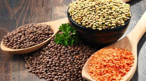 Comment cuire les lentilles matériel temps de cuisson