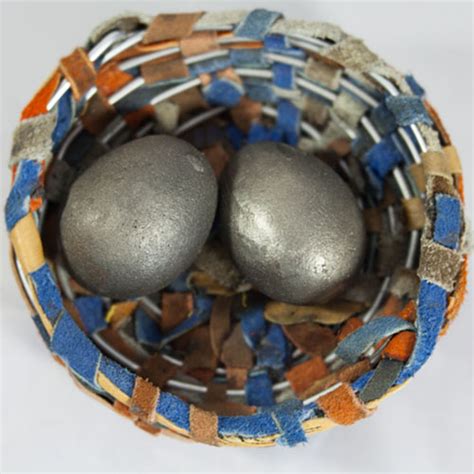 Iron Egg, Leather Nest - Sofi Thanhauser