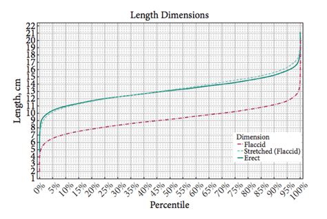 Average Penis Size Revealed In Study Results Biology The Guardian