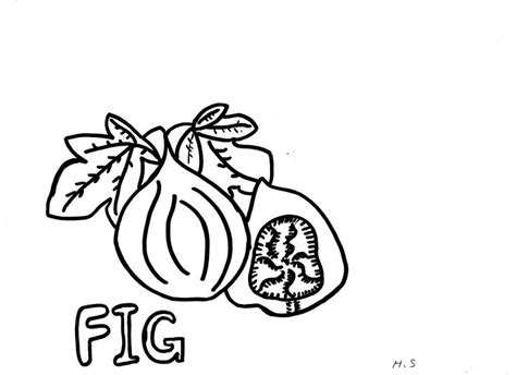 Awesome Fig Coloring Pages For Kids Coloring Pages Coloring Pages
