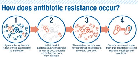 Hazmans Blog Antibiotic Resistance
