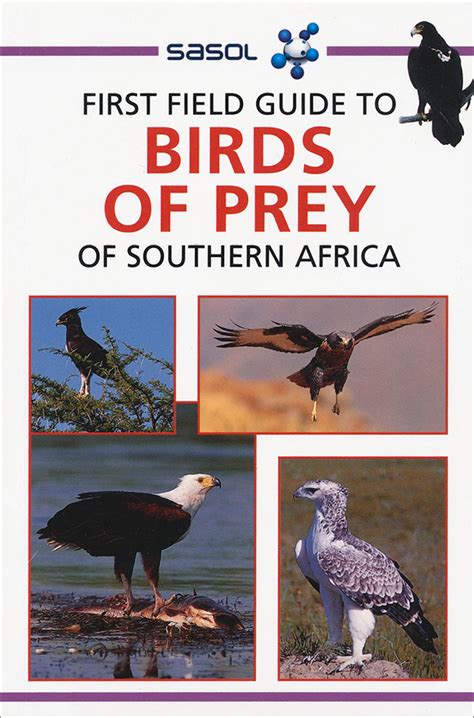 First Field Guide To Birds Of Prey Of Southern Africa By David Allan