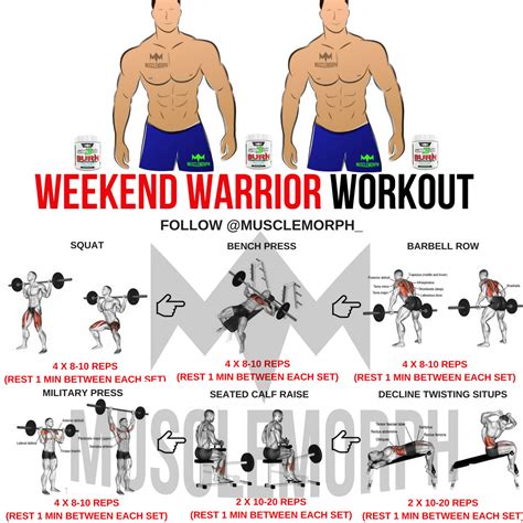 FULL BODY WORKOUT EXERCISE GYM BODYBUILDING WEIGHT ...