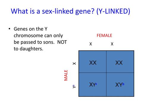 Ppt Introduction To Linked Genes And Sex Linkage H Biology Ms Kim