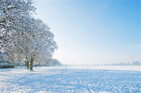 A Beautiful Winter Park Free Stock Photo Public Domain Pictures
