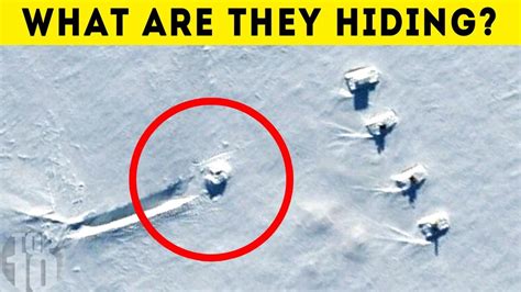 8 Strange Things Found Frozen In Antarctica Ice 10 Top Buzz