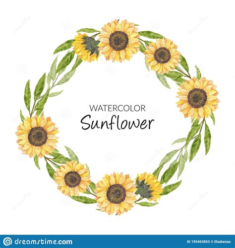 Hand Painted Watercolor Sunflower Wreath Circle Border Stock