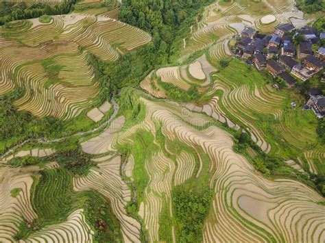 Longji Terrace Rice Fieldaerial Photography Stock Photo Image Of