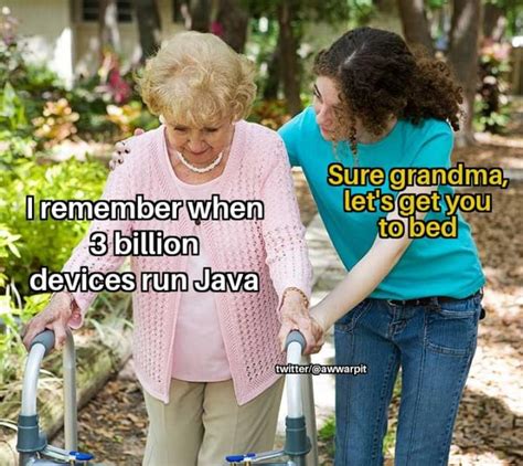 Java Meme Rprogrammerhumor