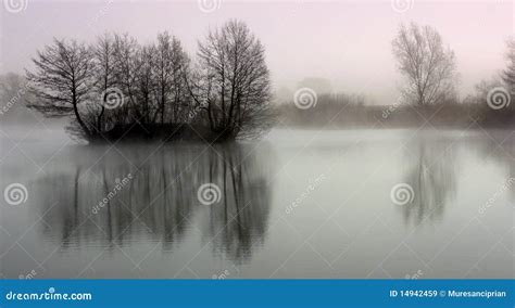 Tree Reflection On Lake Stock Image Image Of Place Rising 14942459