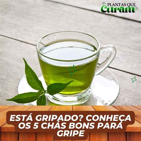 Chás Para Melhorar A Gripe