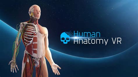 Human Anatomy Vr The Vr Grid