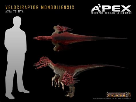 Velociraptor Mongoliensis By Herschel Hoffmeyer On Deviantart